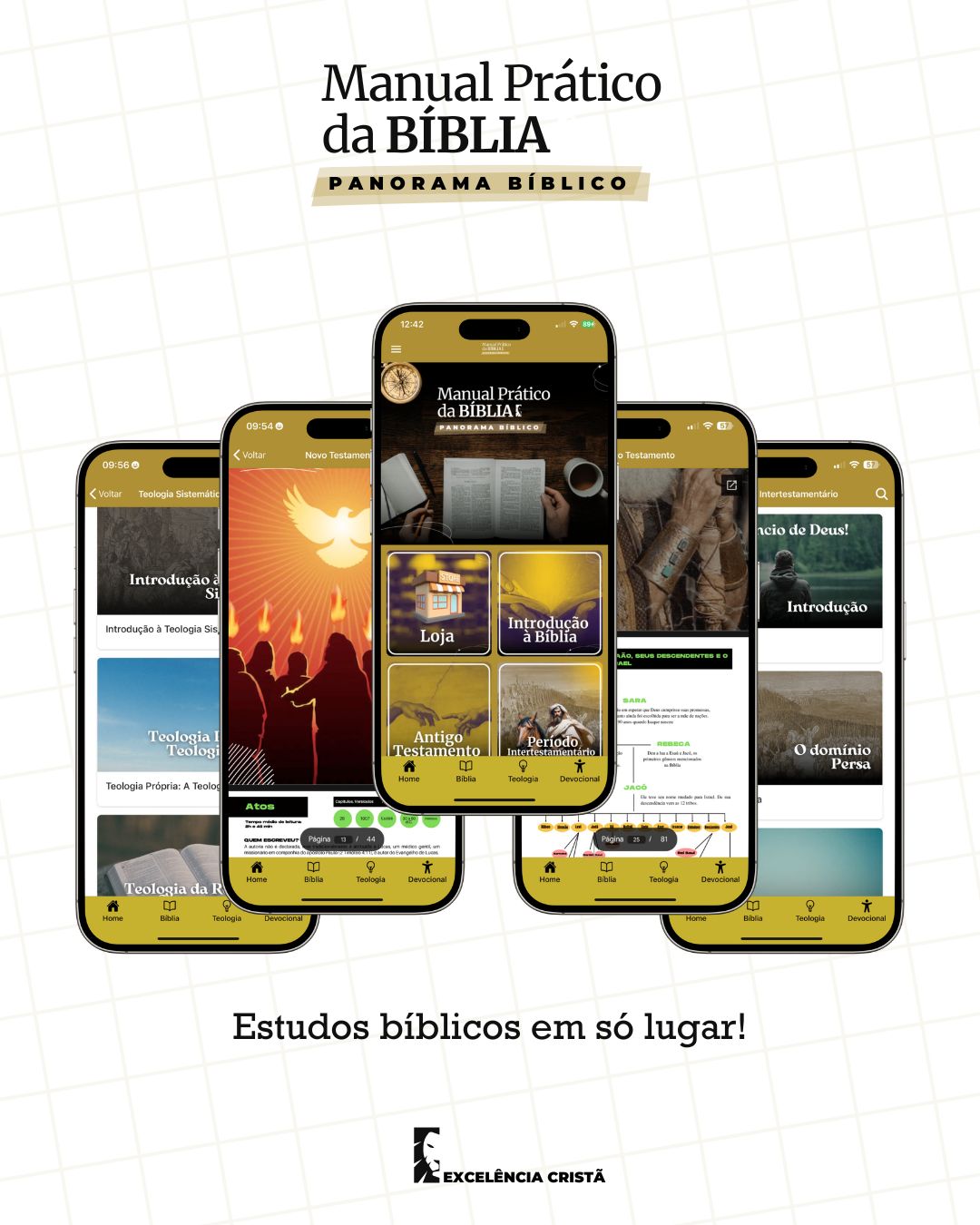 Manual Prático da Bíblia - Panorama Bíblico - Imagem 4